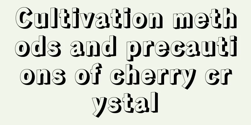 Cultivation methods and precautions of cherry crystal