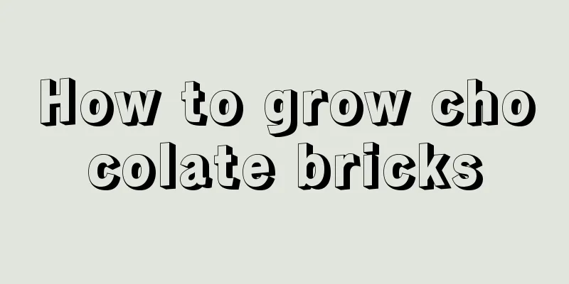 How to grow chocolate bricks