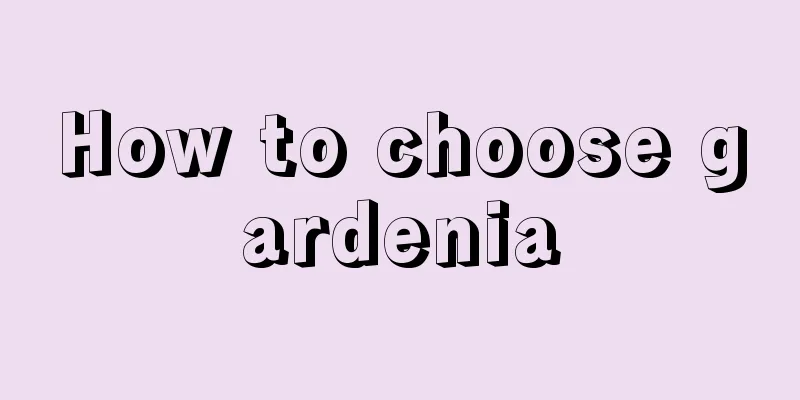 How to choose gardenia