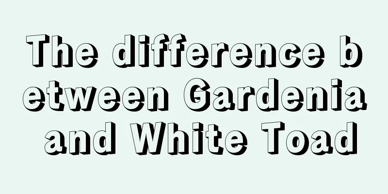 The difference between Gardenia and White Toad