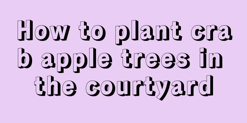 How to plant crab apple trees in the courtyard