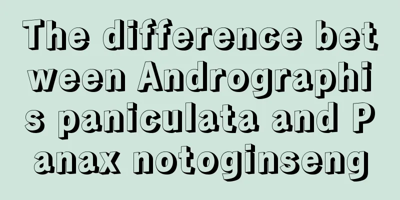 The difference between Andrographis paniculata and Panax notoginseng