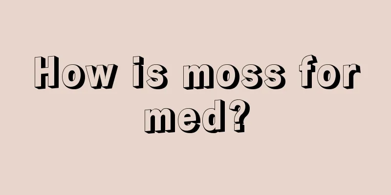 How is moss formed?