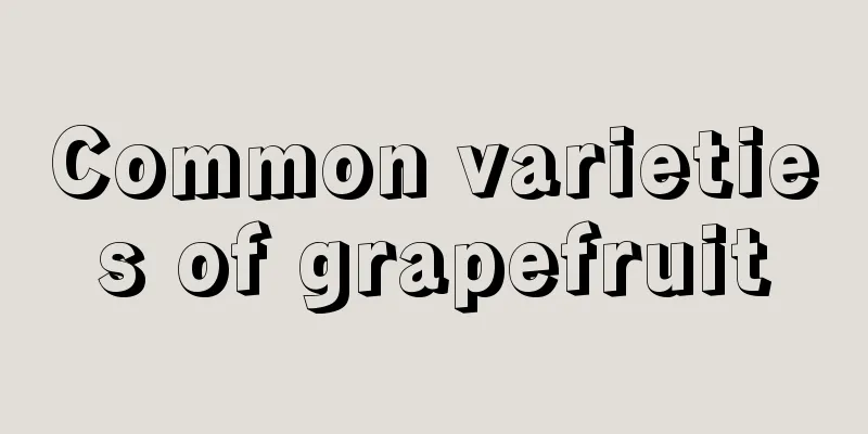 Common varieties of grapefruit