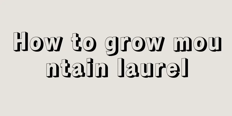 How to grow mountain laurel