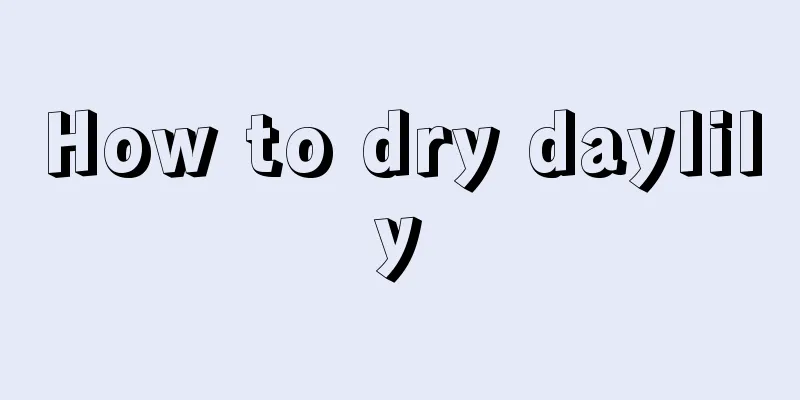 How to dry daylily