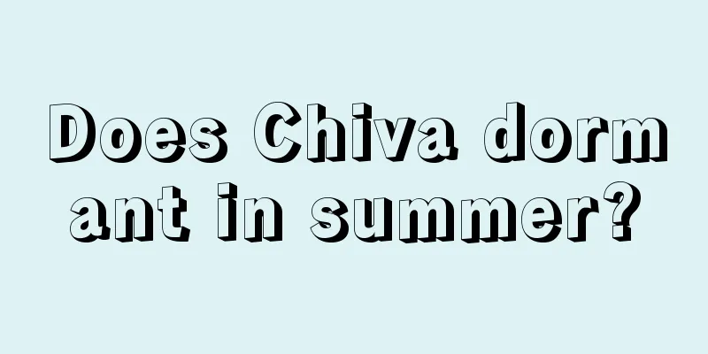 Does Chiva dormant in summer?