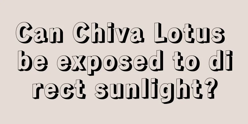 Can Chiva Lotus be exposed to direct sunlight?