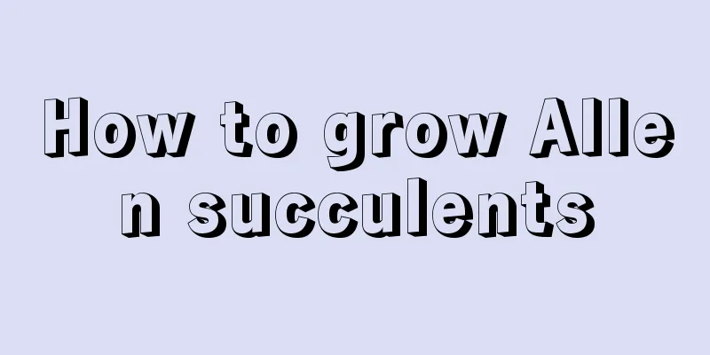 How to grow Allen succulents