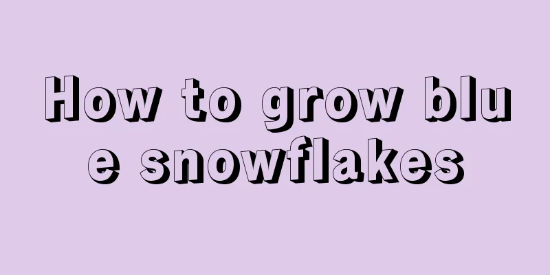 How to grow blue snowflakes