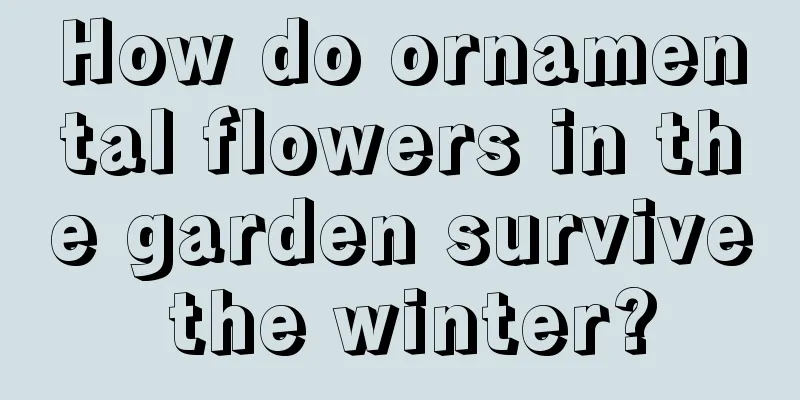 How do ornamental flowers in the garden survive the winter?