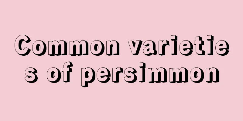 Common varieties of persimmon