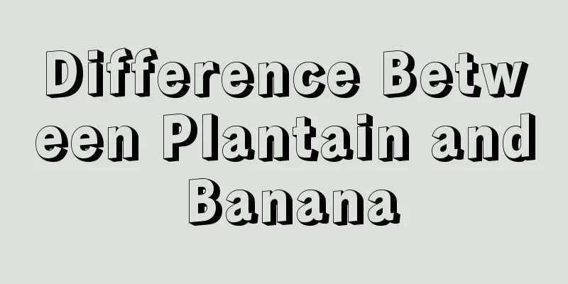 Difference Between Plantain and Banana