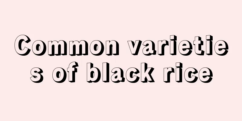 Common varieties of black rice