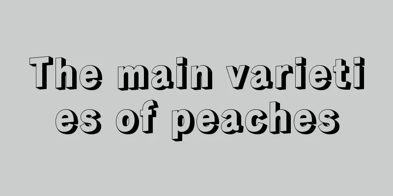 The main varieties of peaches