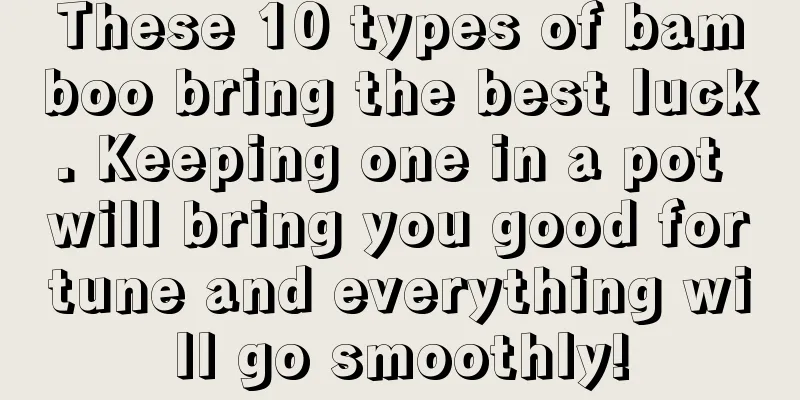 These 10 types of bamboo bring the best luck. Keeping one in a pot will bring you good fortune and everything will go smoothly!