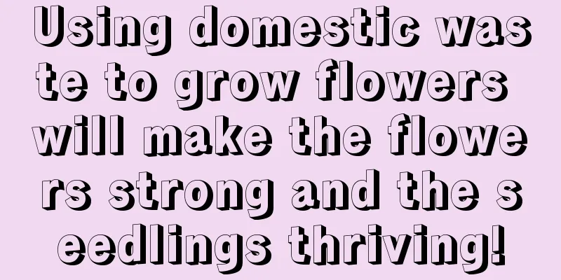 Using domestic waste to grow flowers will make the flowers strong and the seedlings thriving!