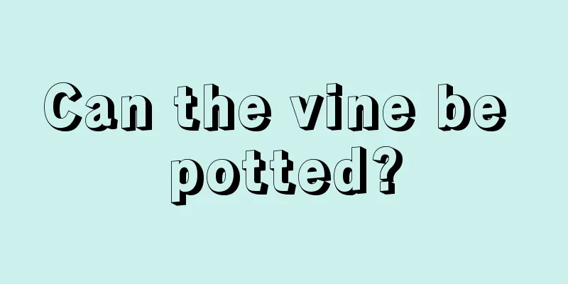 Can the vine be potted?