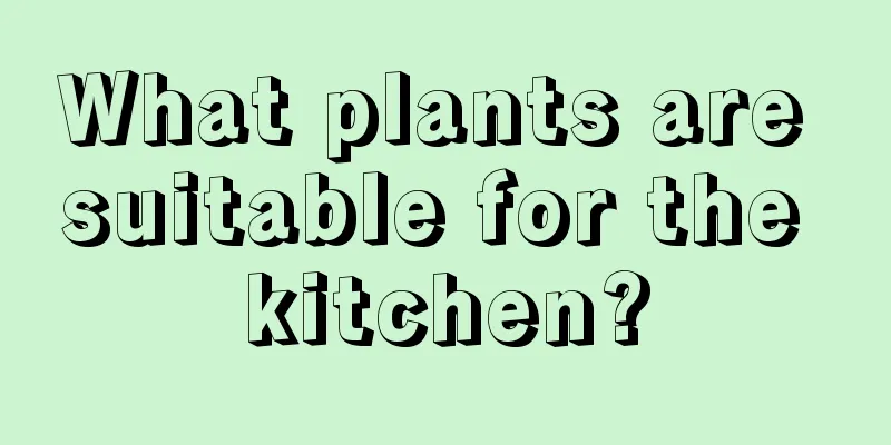 What plants are suitable for the kitchen?