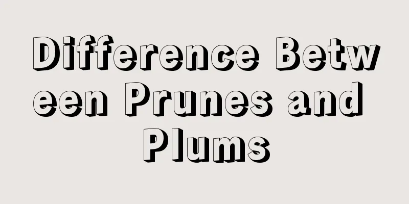 Difference Between Prunes and Plums