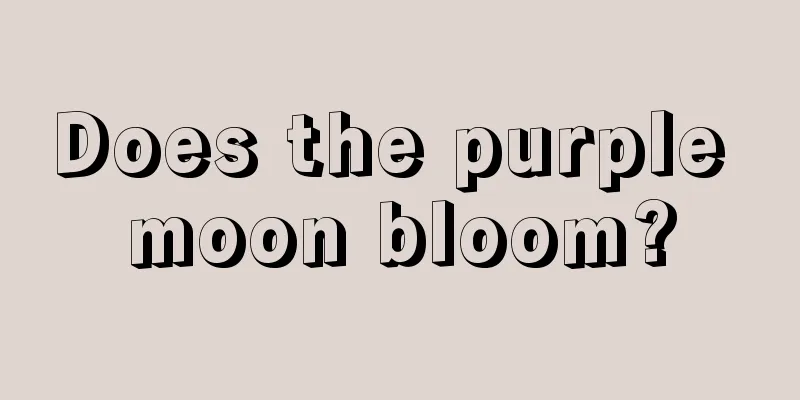 Does the purple moon bloom?