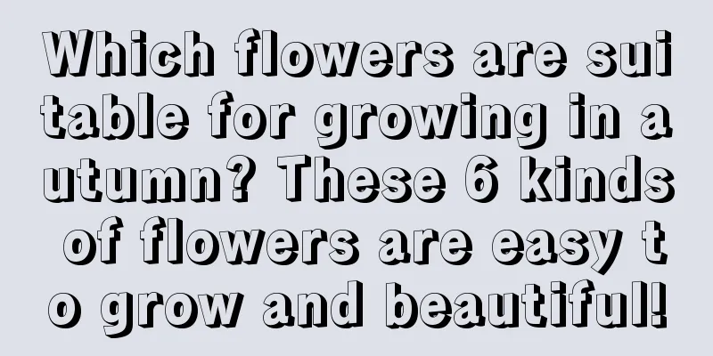 Which flowers are suitable for growing in autumn? These 6 kinds of flowers are easy to grow and beautiful!