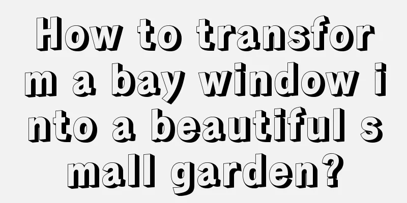 How to transform a bay window into a beautiful small garden?