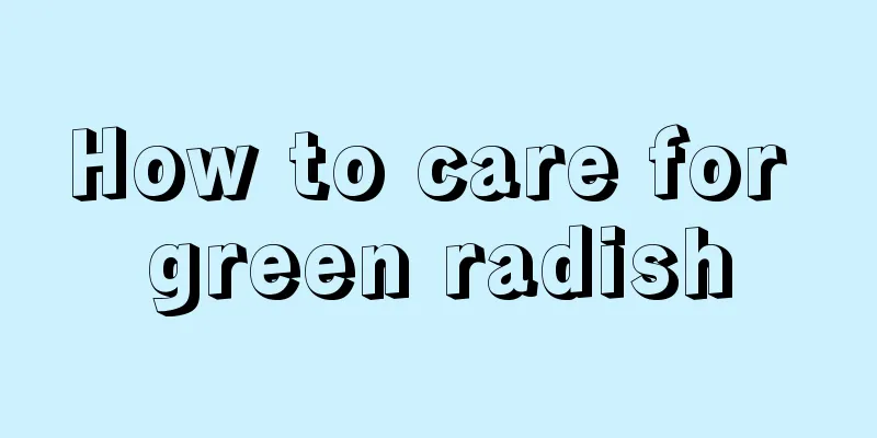 How to care for green radish