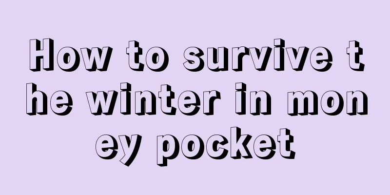 How to survive the winter in money pocket