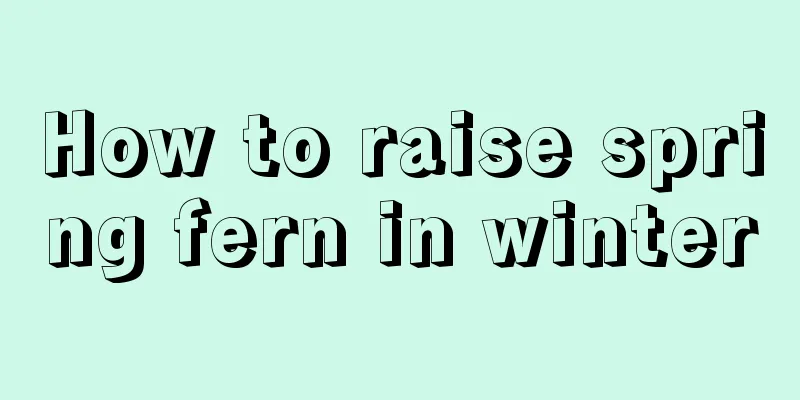 How to raise spring fern in winter