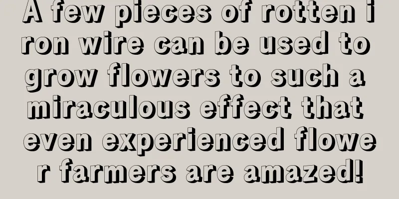 A few pieces of rotten iron wire can be used to grow flowers to such a miraculous effect that even experienced flower farmers are amazed!