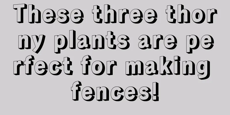 These three thorny plants are perfect for making fences!