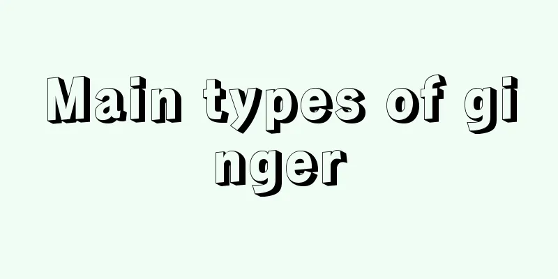 Main types of ginger