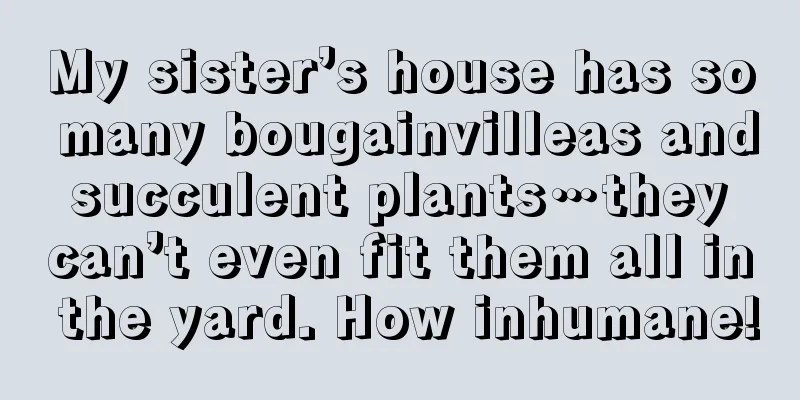 My sister’s house has so many bougainvilleas and succulent plants…they can’t even fit them all in the yard. How inhumane!