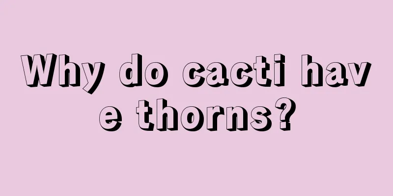 Why do cacti have thorns?