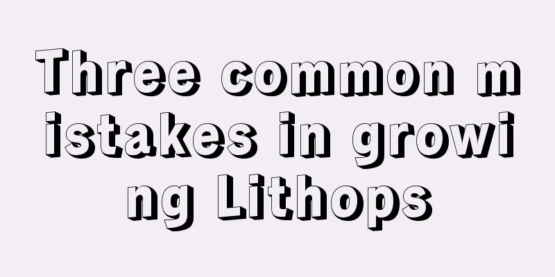 Three common mistakes in growing Lithops