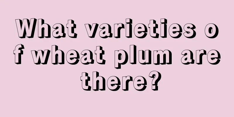 What varieties of wheat plum are there?