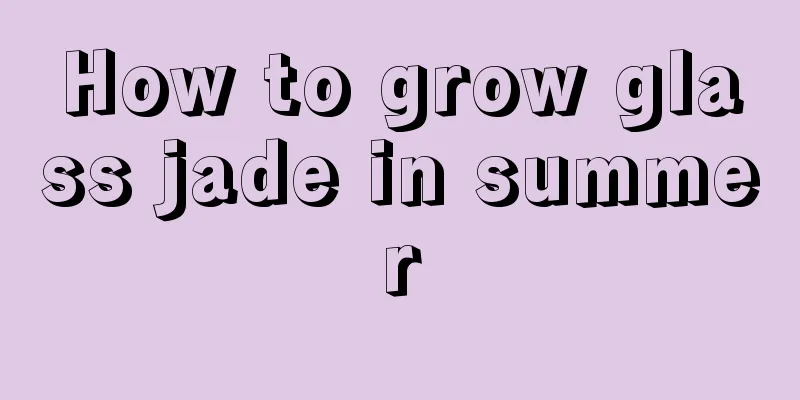 How to grow glass jade in summer