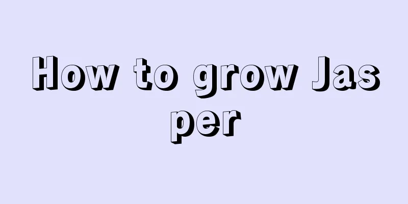 How to grow Jasper