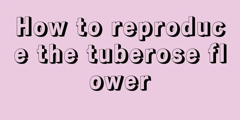 How to reproduce the tuberose flower