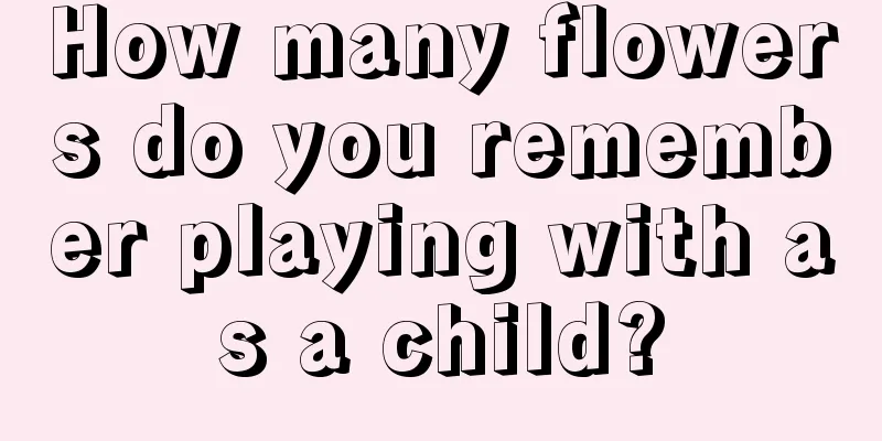 How many flowers do you remember playing with as a child?