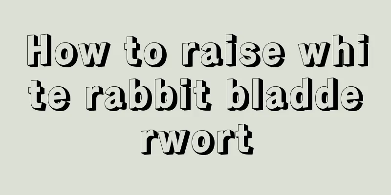 How to raise white rabbit bladderwort