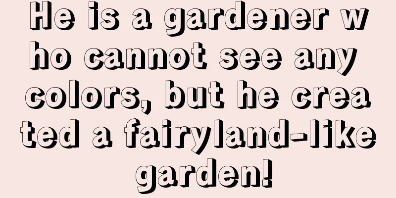 He is a gardener who cannot see any colors, but he created a fairyland-like garden!