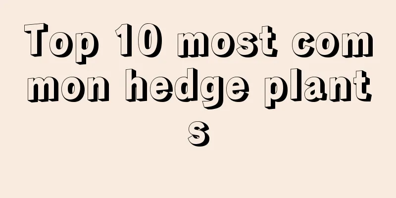 Top 10 most common hedge plants