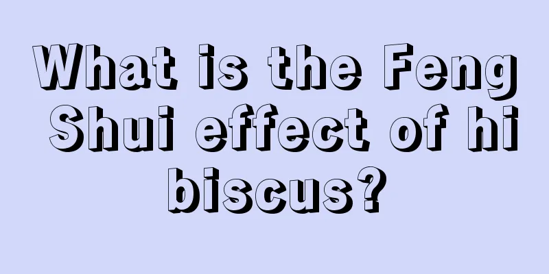 What is the Feng Shui effect of hibiscus?