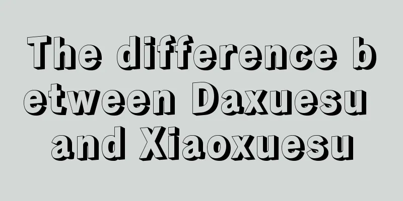 The difference between Daxuesu and Xiaoxuesu