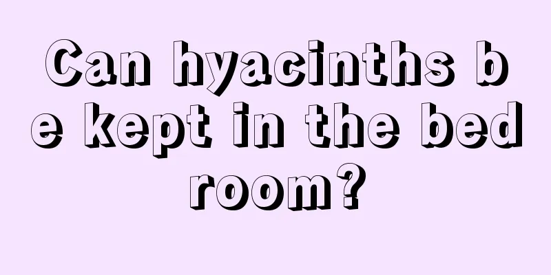 Can hyacinths be kept in the bedroom?