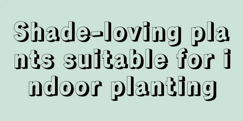 Shade-loving plants suitable for indoor planting