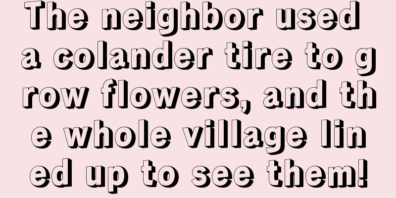 The neighbor used a colander tire to grow flowers, and the whole village lined up to see them!