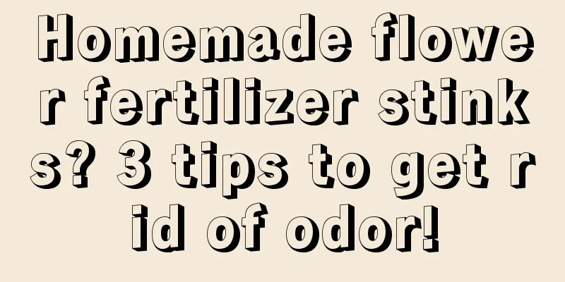 Homemade flower fertilizer stinks? 3 tips to get rid of odor!